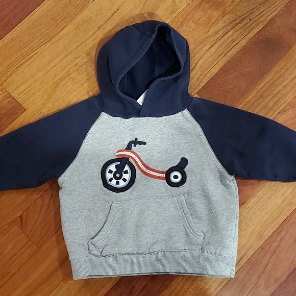 Gymboree Other - Gymboree Embroidered Hoodie 2T-3T